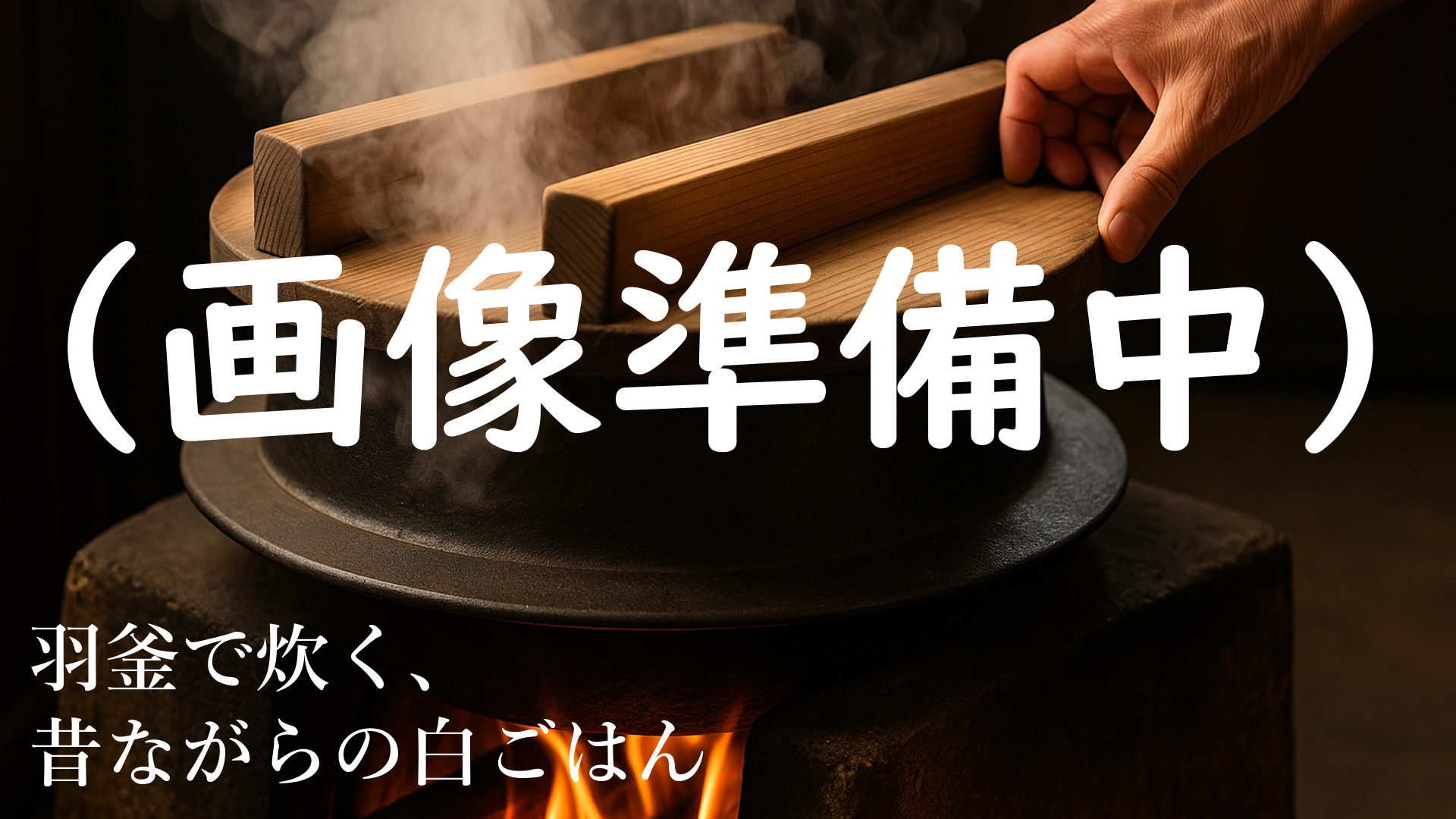 料理の写真